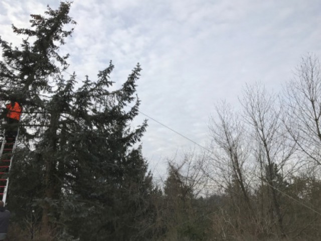 Technischer Einsatz am 19.01.2019