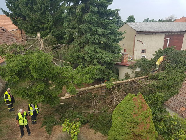 24 Einsätze nach Sturmschaden