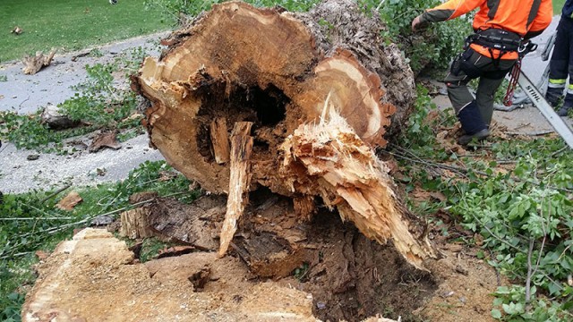 Technischer Einsatz am 25.05.2017