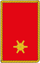 ehrenbrandinspektor